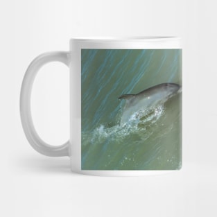 Bottlenose Dolphine Mug